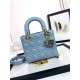 Lady Dior Handbag D0167