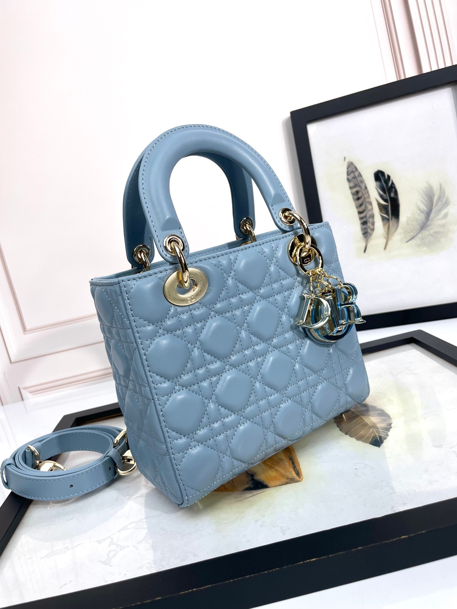 Lady Dior Handbag D0167