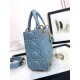 Lady Dior Handbag D0167