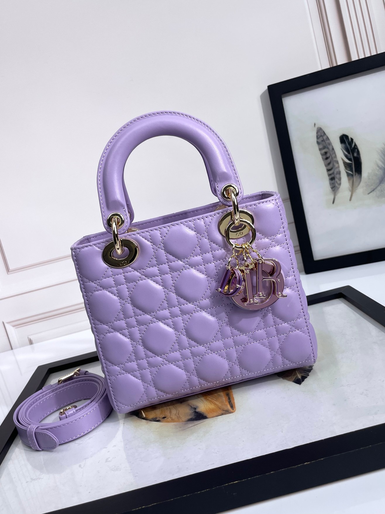 Lady Dior Handbag D0168