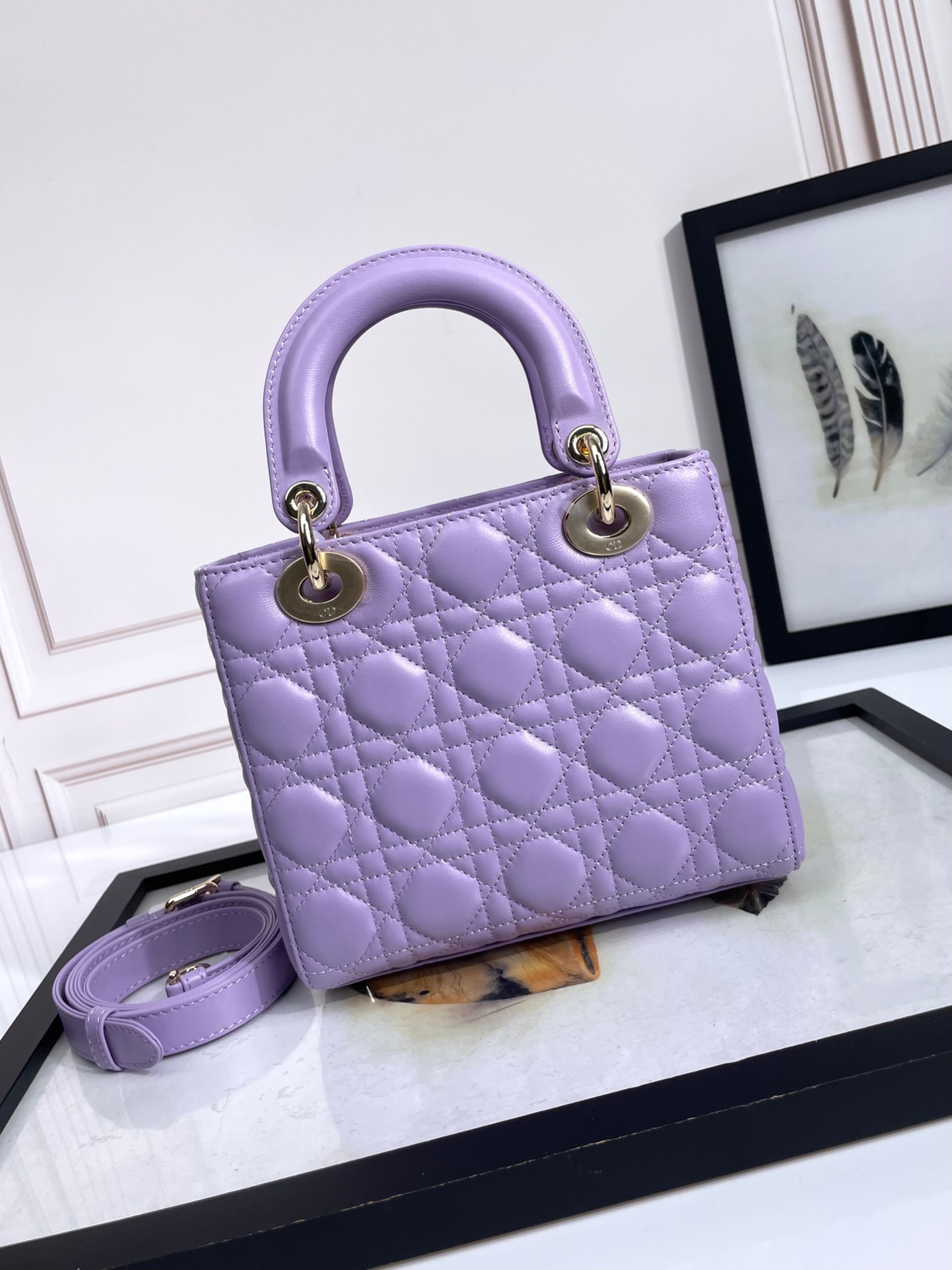 Lady Dior Handbag D0168