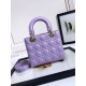 Lady Dior Handbag D0168