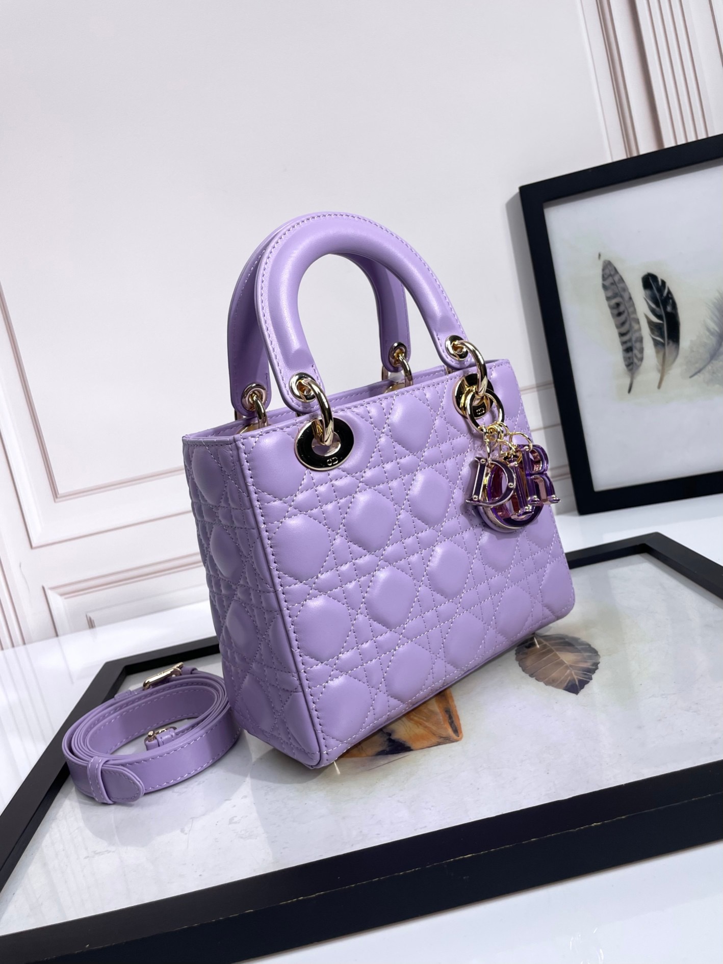 Lady Dior Handbag D0168