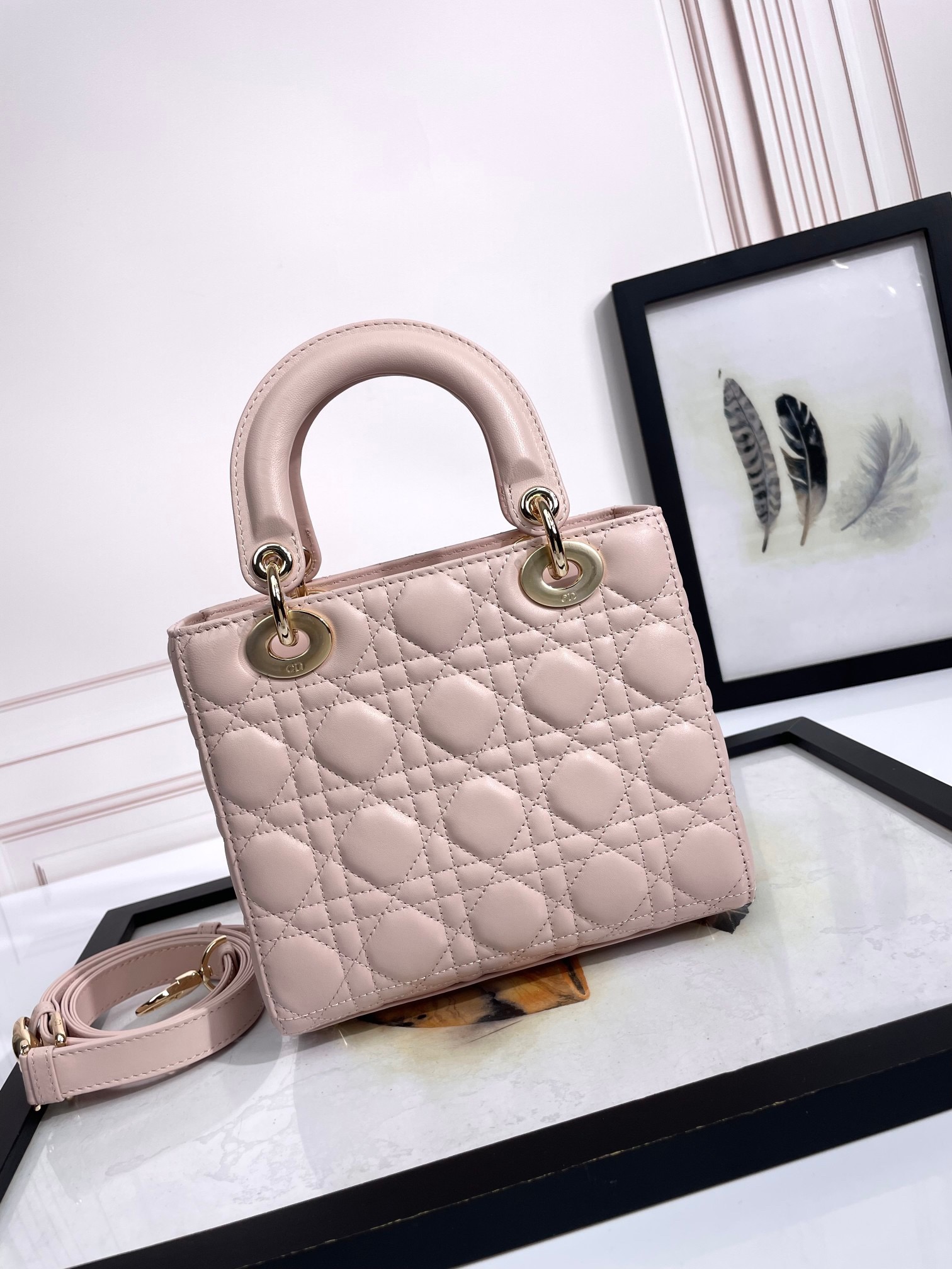 Lady Dior Handbag D0169