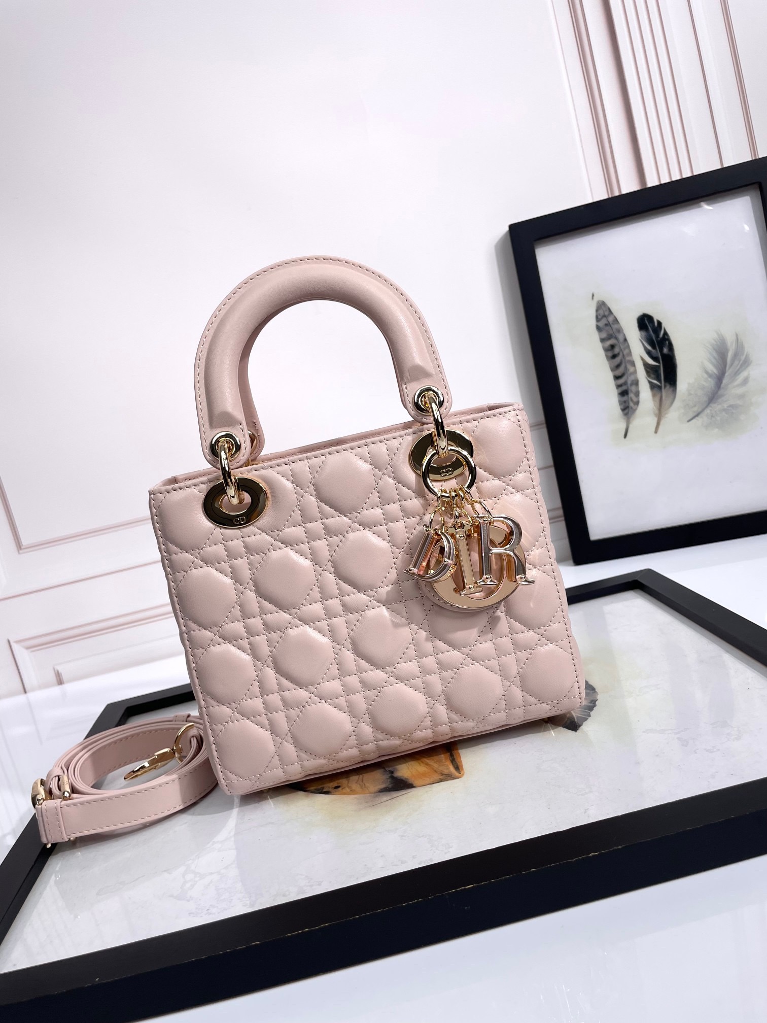 Lady Dior Handbag D0169