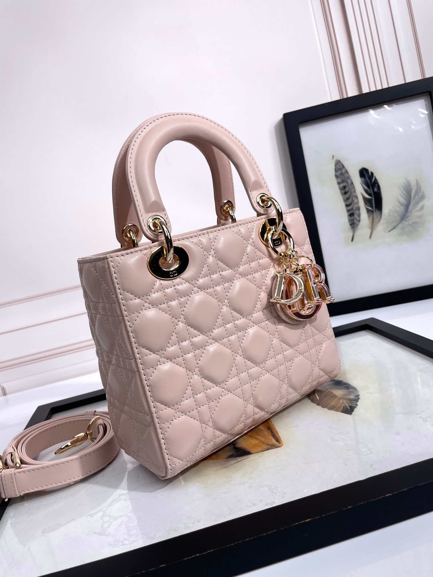 Lady Dior Handbag D0169