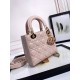 Lady Dior Handbag D0169