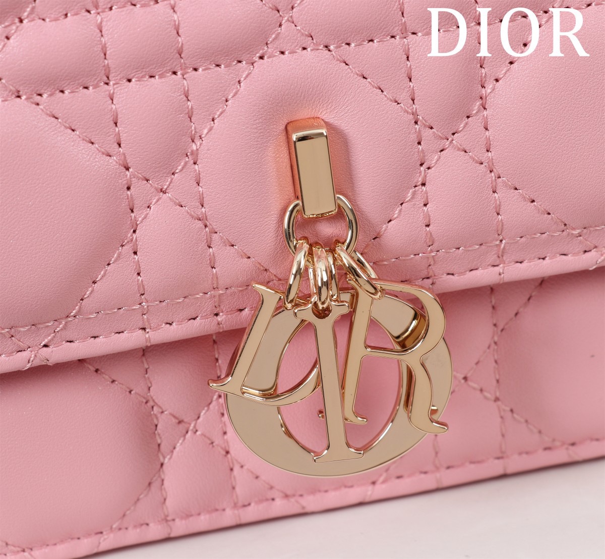 Dior sheepskin diamonds D0170