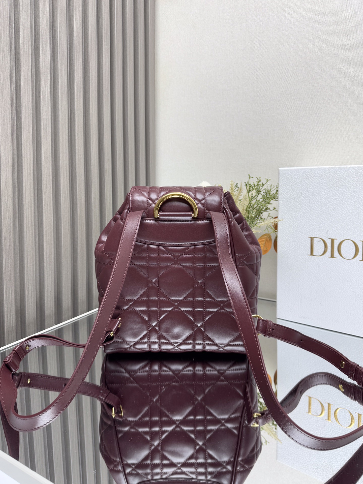 Dior Caro backpack GM D0172