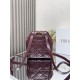 Dior Caro backpack GM D0172