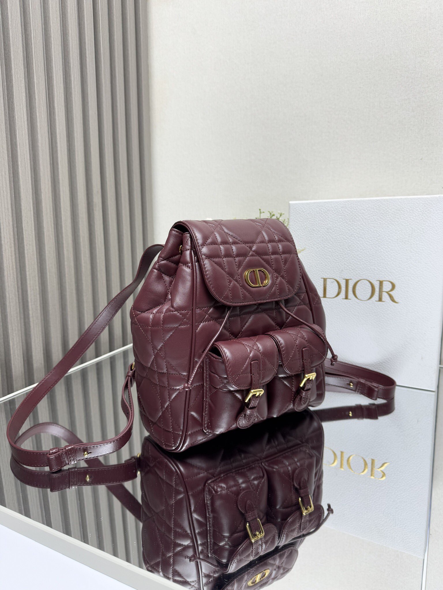 Dior Caro backpack GM D0172