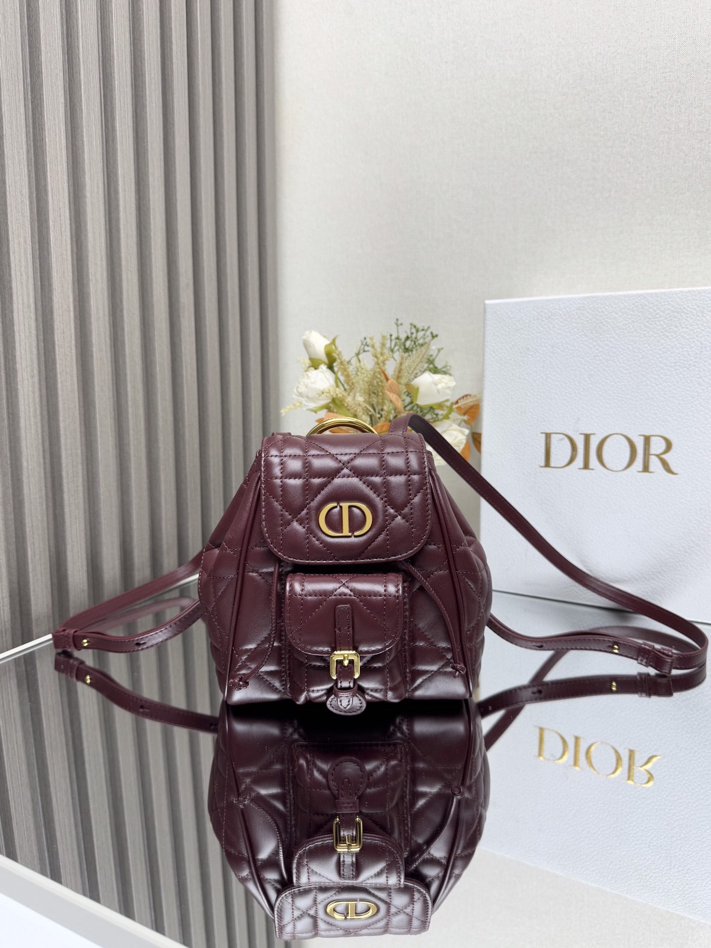 Dior Caro backpack MM D0173