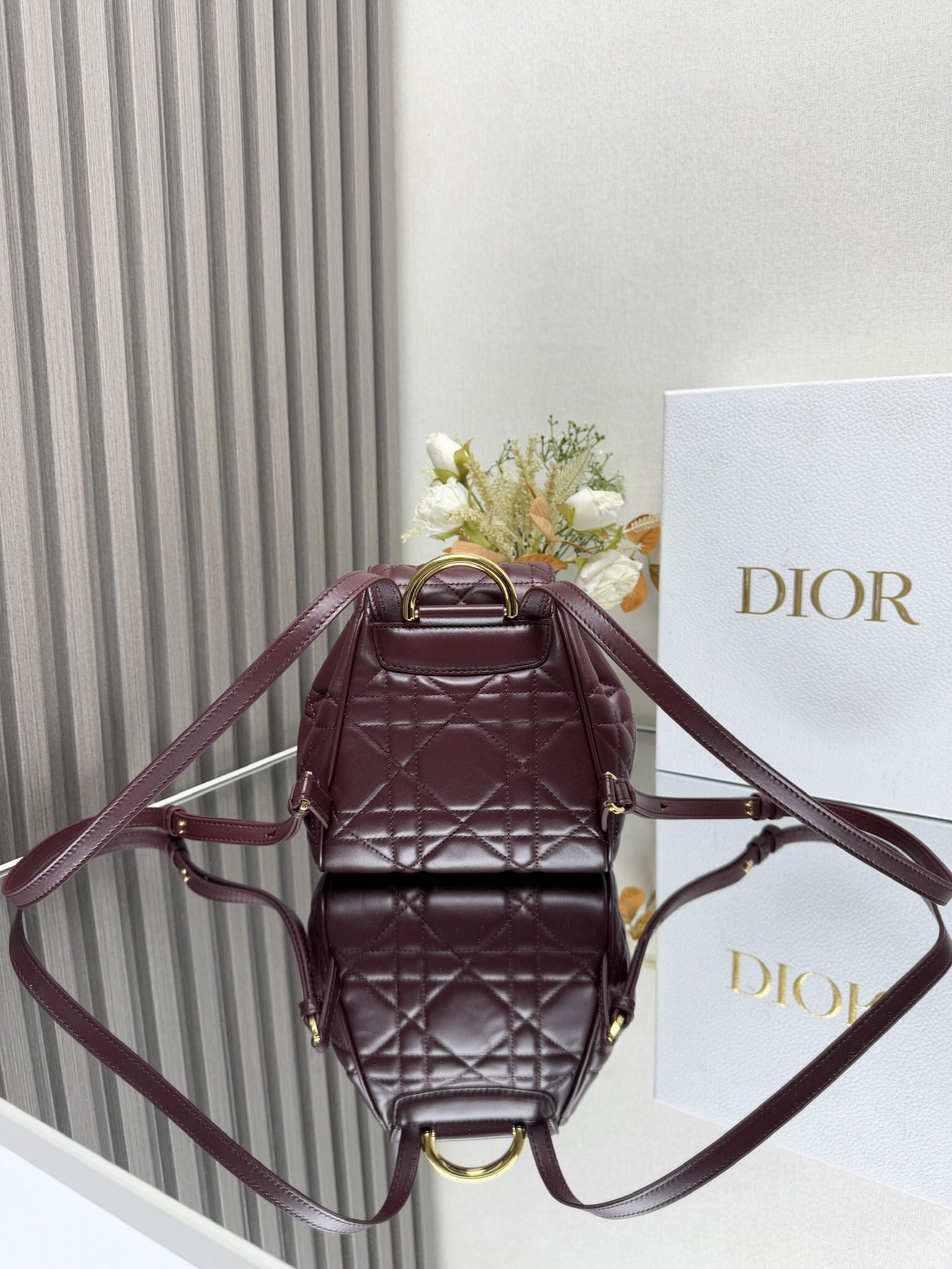 Dior Caro backpack MM D0173