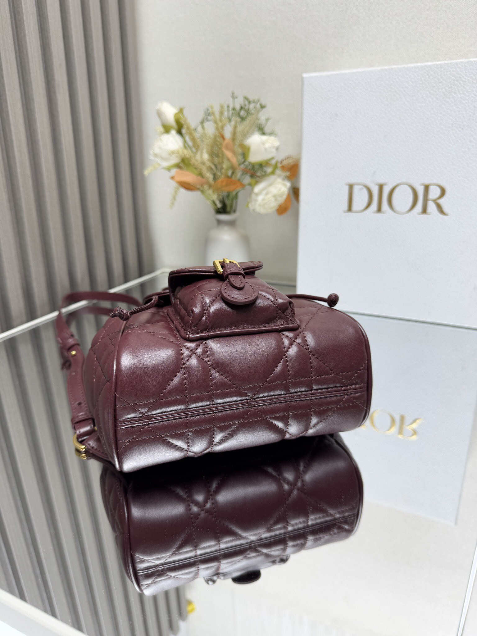 Dior Caro backpack MM D0173