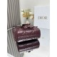 Dior Caro backpack MM D0173