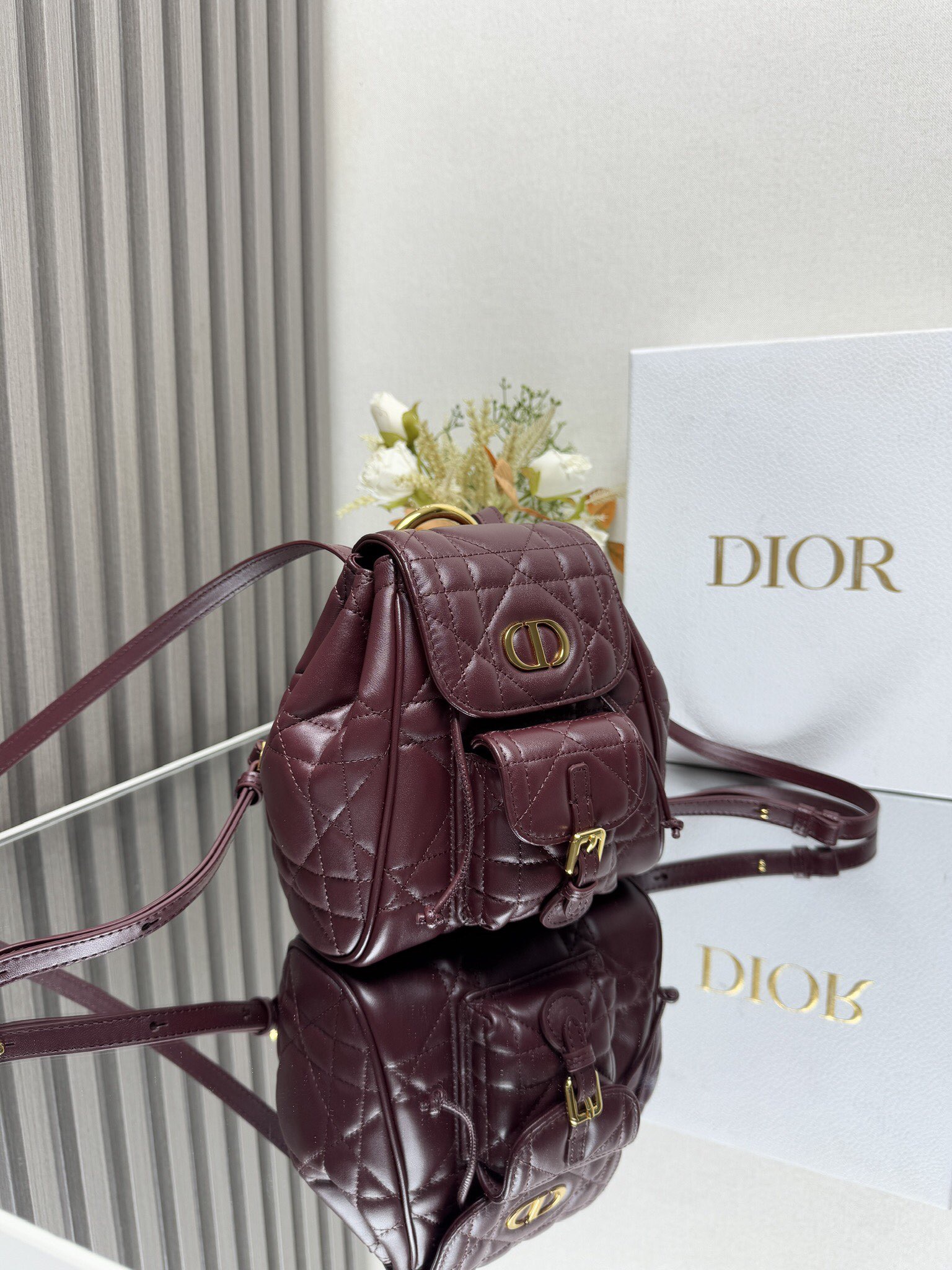 Dior Caro backpack MM D0173