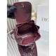 Dior Caro backpack MM D0173