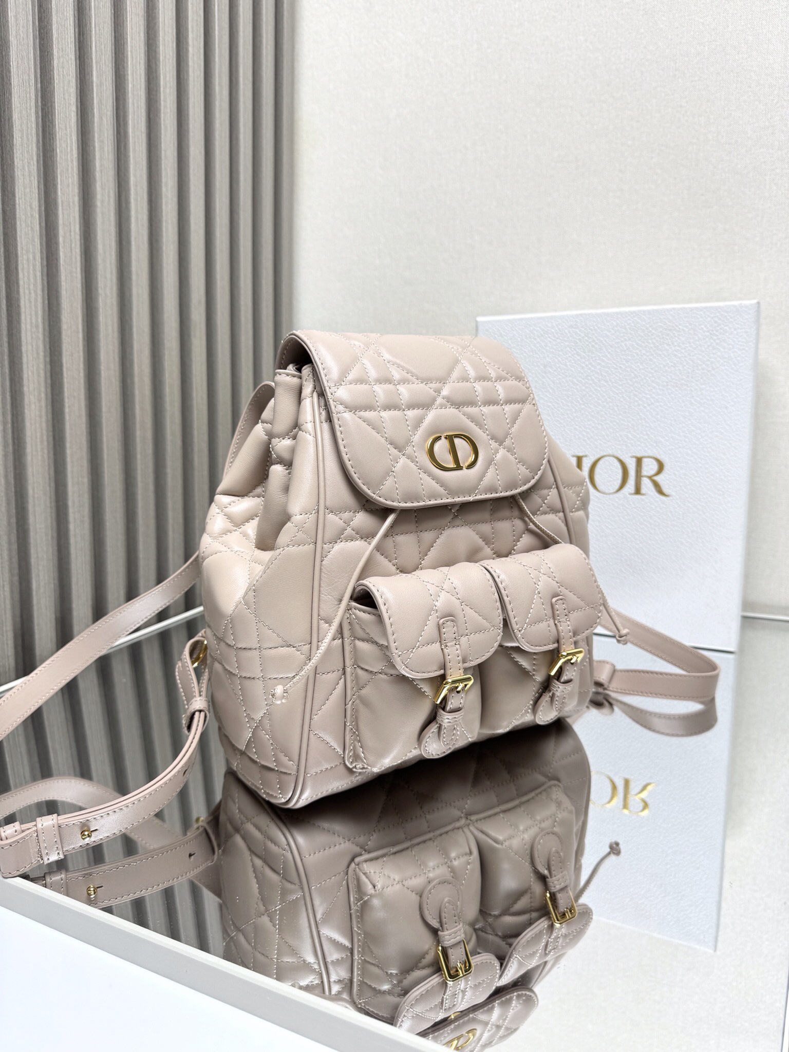 Dior Caro backpack GM D0174