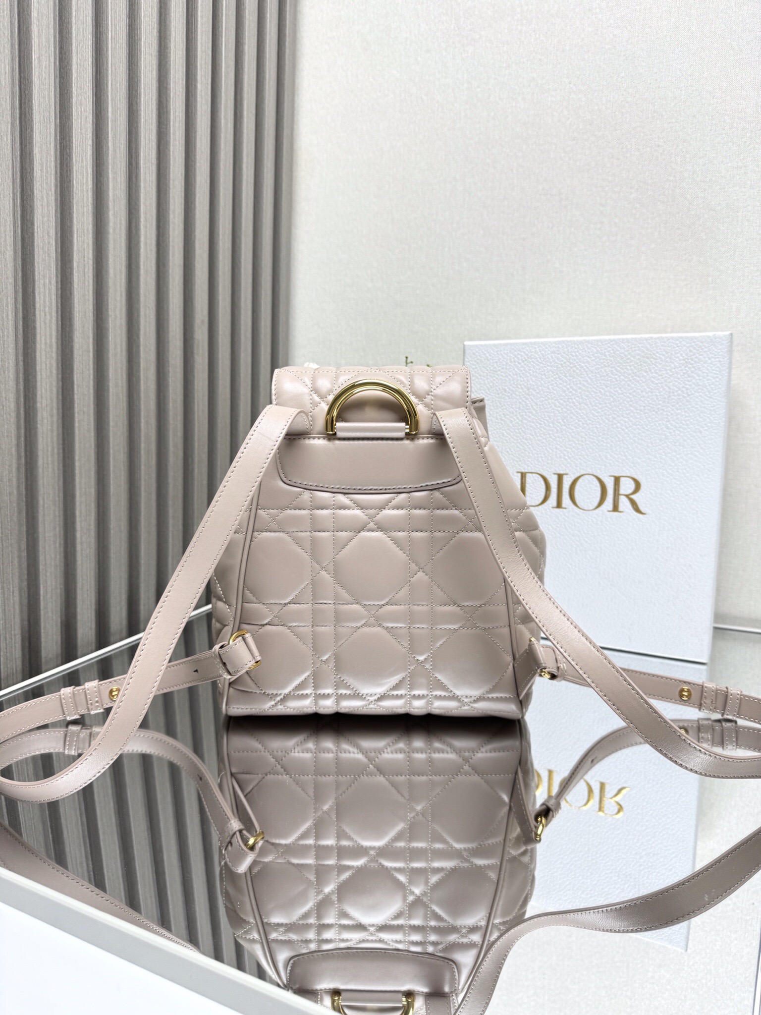 Dior Caro backpack GM D0174