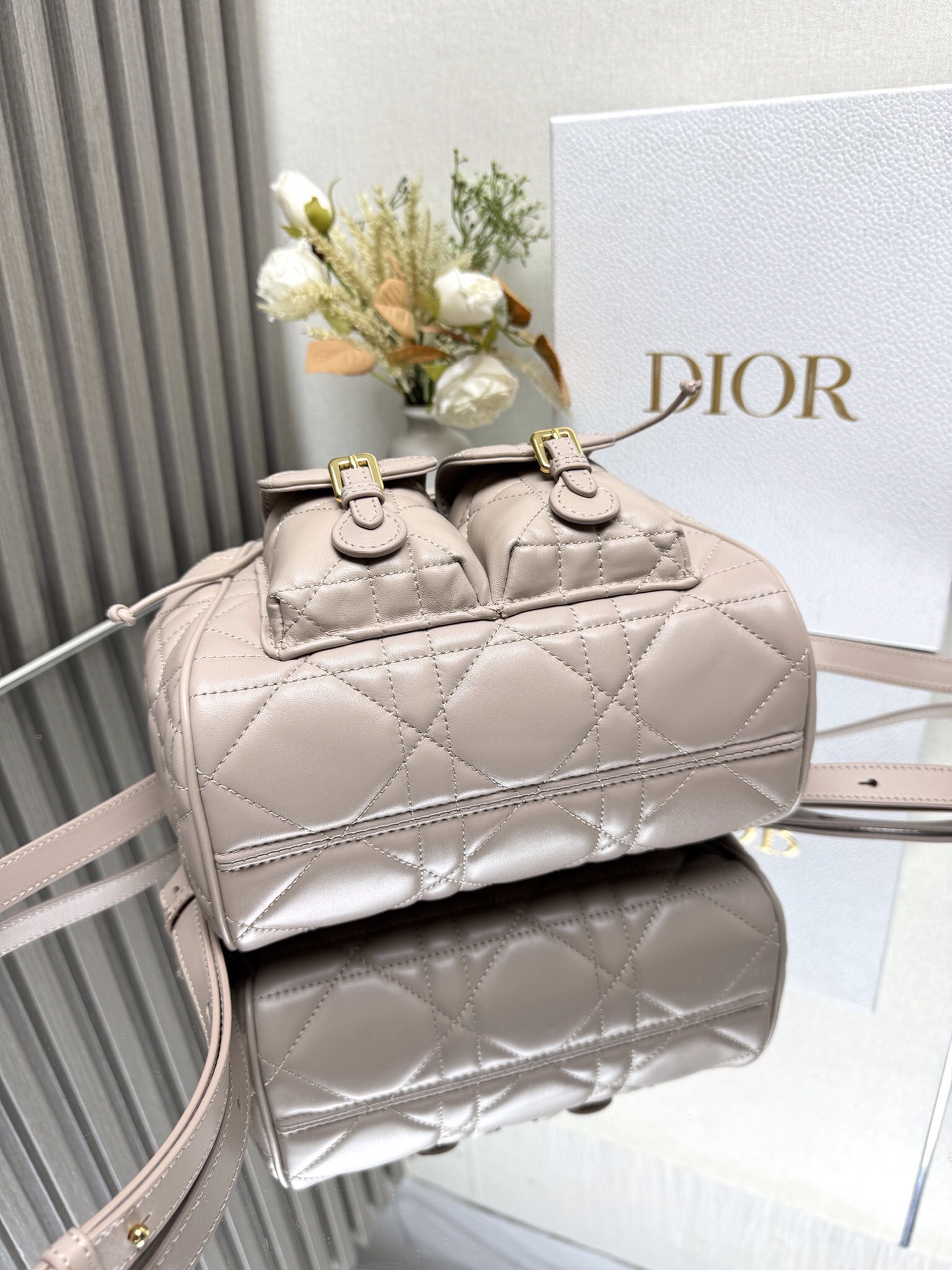 Dior Caro backpack GM D0174