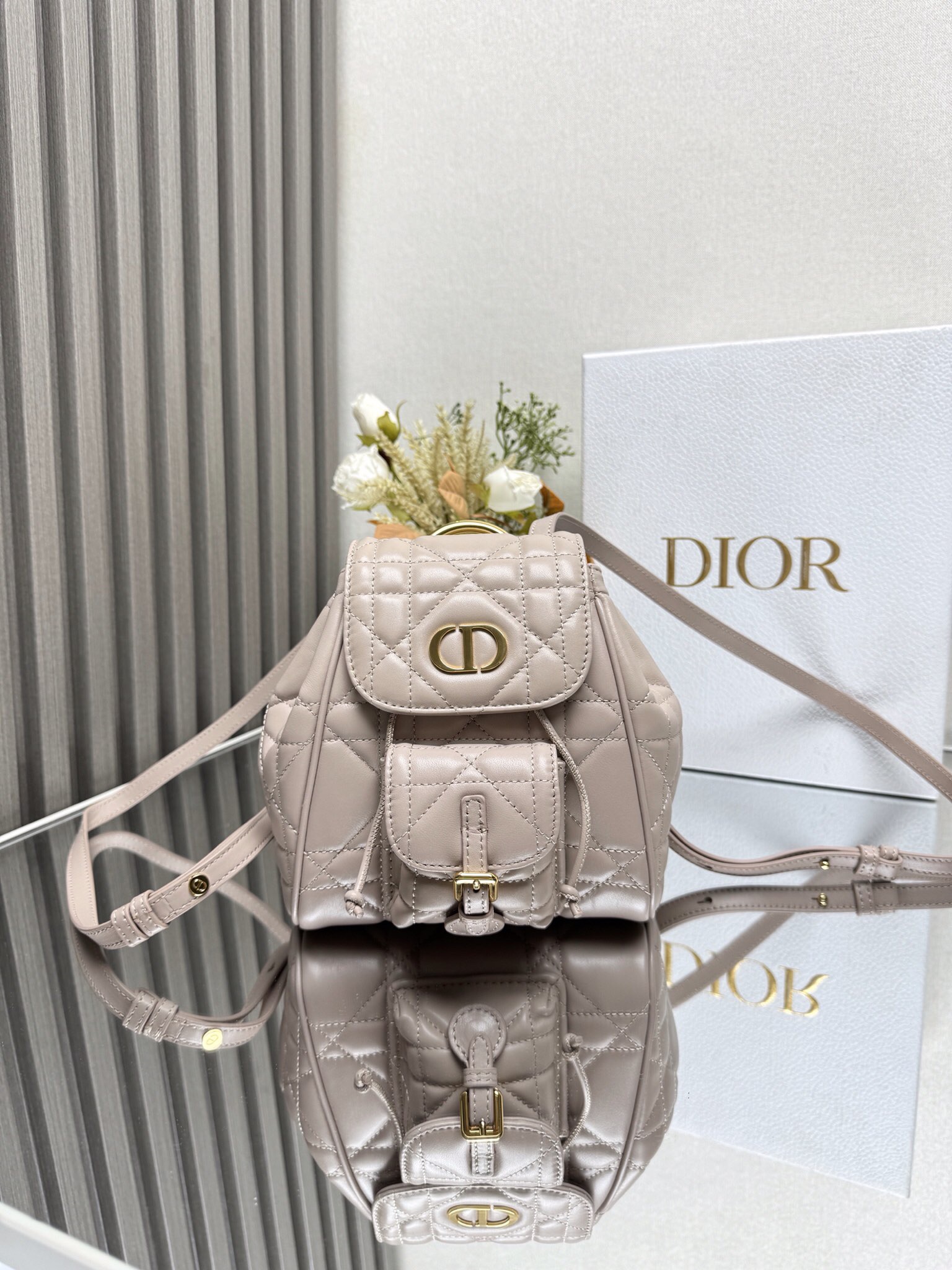 Dior Caro backpack MM D0175