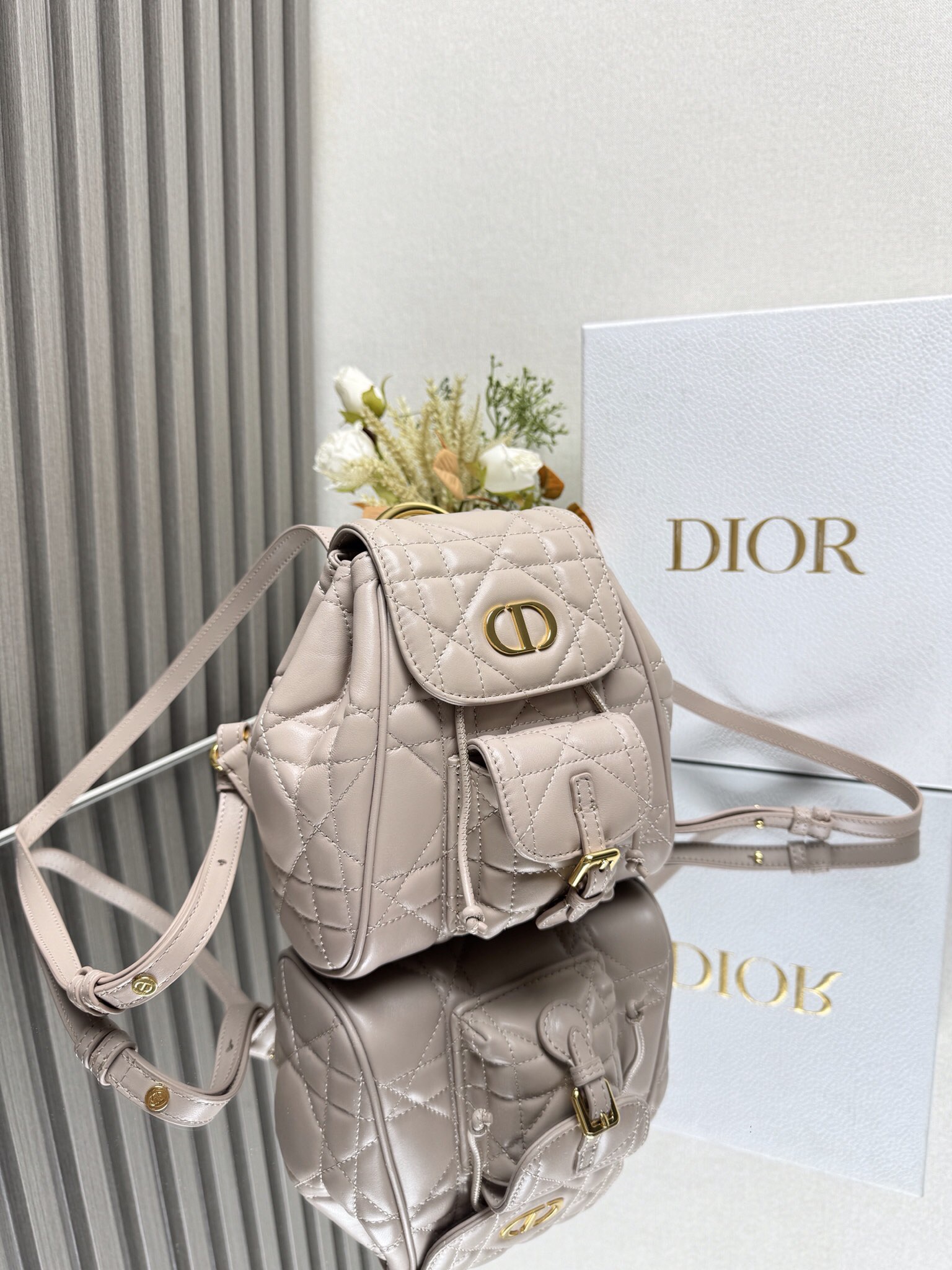 Dior Caro backpack MM D0175