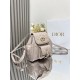 Dior Caro backpack MM D0175