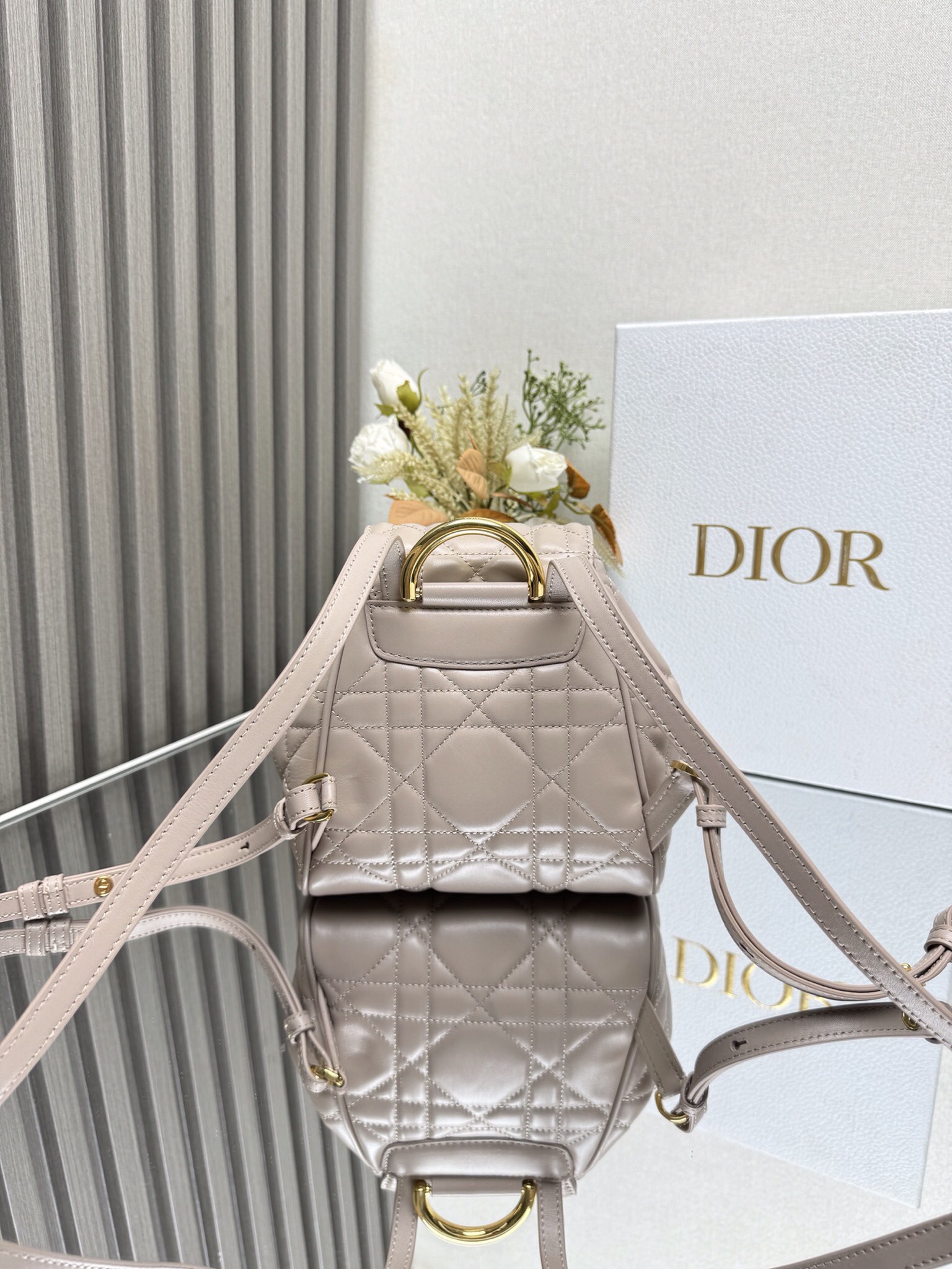 Dior Caro backpack MM D0175