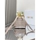 Dior Caro backpack MM D0175