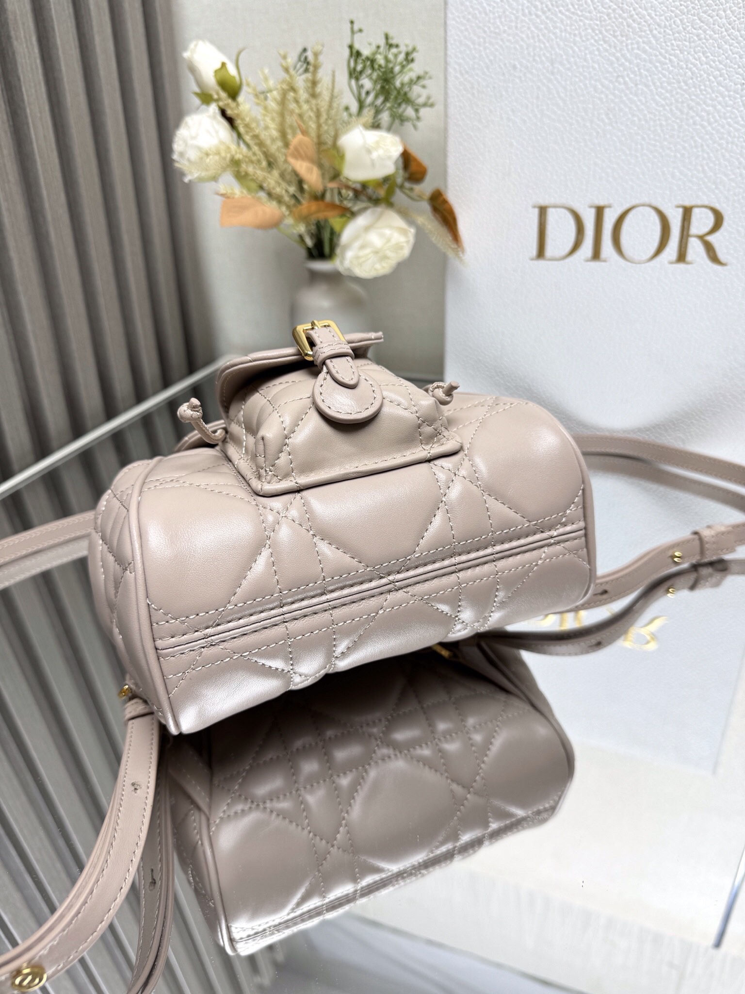 Dior Caro backpack MM D0175