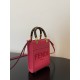 Fendi sun shine mini tortoise shell handbag  F0004