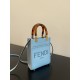 Fendi sun shine mini tortoise shell handbag  F0005