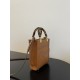 Fendi sun shine mini tortoise shell handbag  F0012