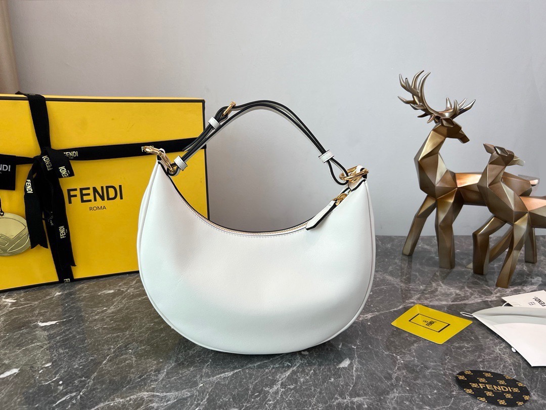 Fendi praphy PM underarm bag  F0013