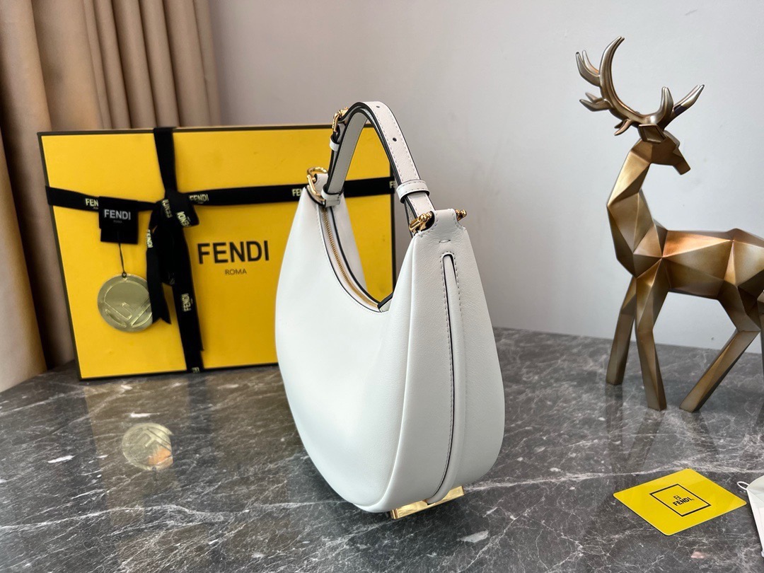 Fendi praphy PM underarm bag  F0013