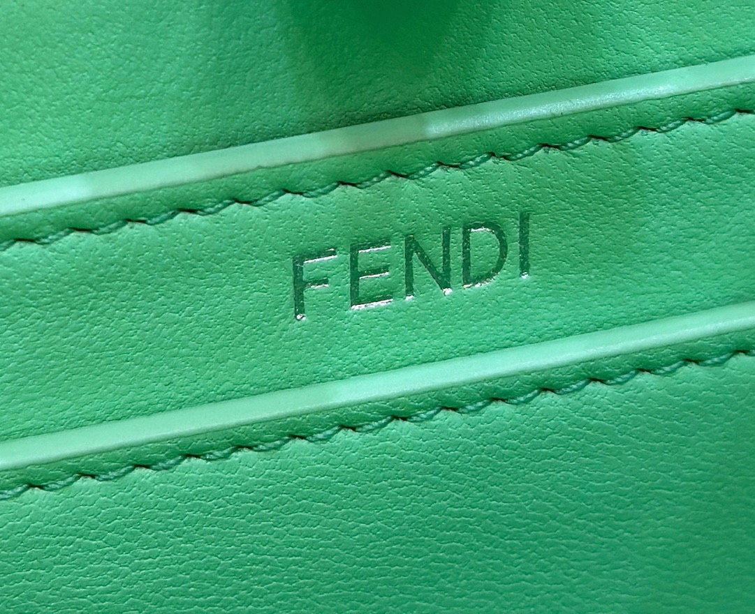 Fendi Peekaboo's F0054