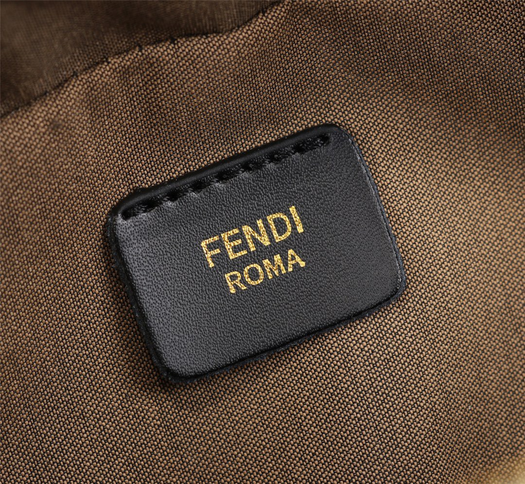 Fendi Camera case F0070