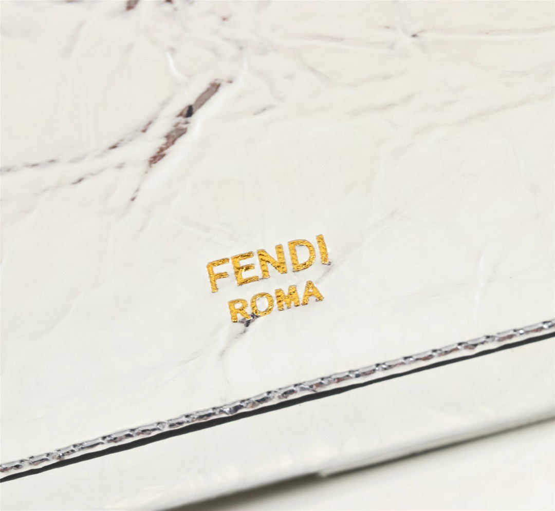 Fendi Camera case F0070