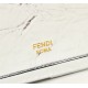 Fendi Camera case F0070