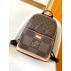 Louis Vuitton Campus backpack N40380